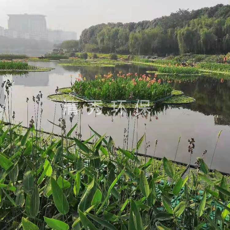 湖南岳陽王家河